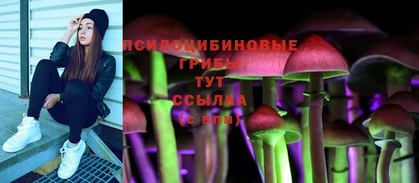 хмурый Нягань