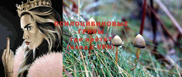 хмурый Нягань