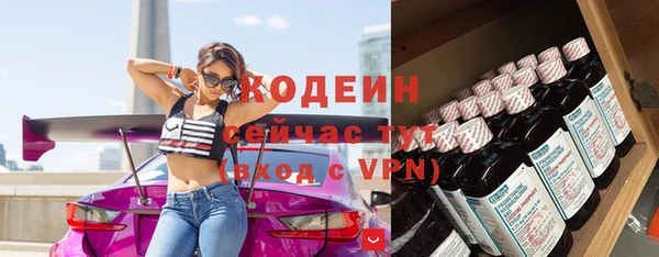 хмурый Нягань