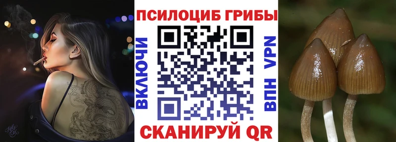 купить  цена  Красный Сулин  Галлюциногенные грибы MAGIC MUSHROOMS 